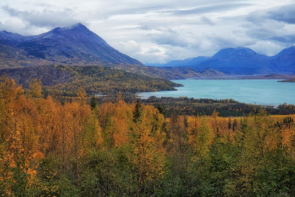 Skilak Lake Road offers incredible Alaskan wildlife viewing