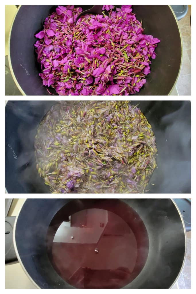 Steps for making Fireweed jelly from flower to cooked down juice for the jelly