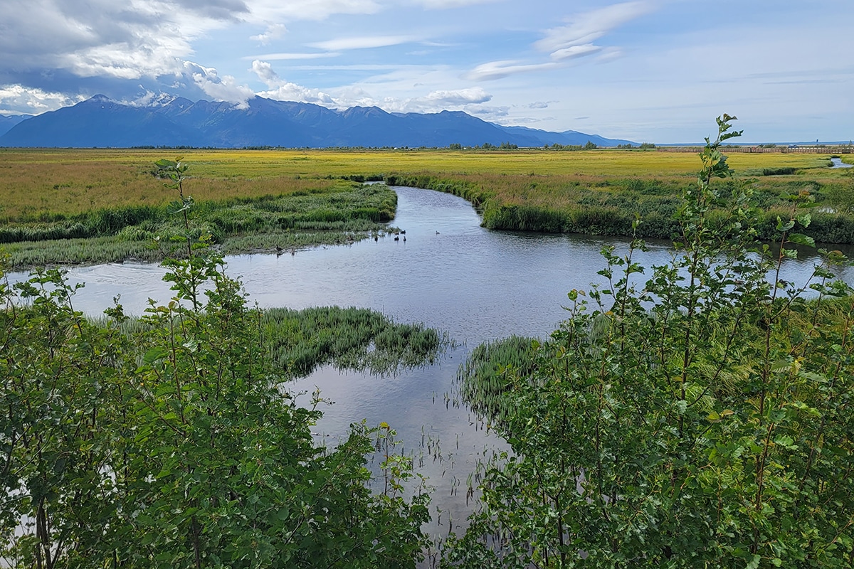 Anchorage To Homer 13 Scenic Places To Check Out