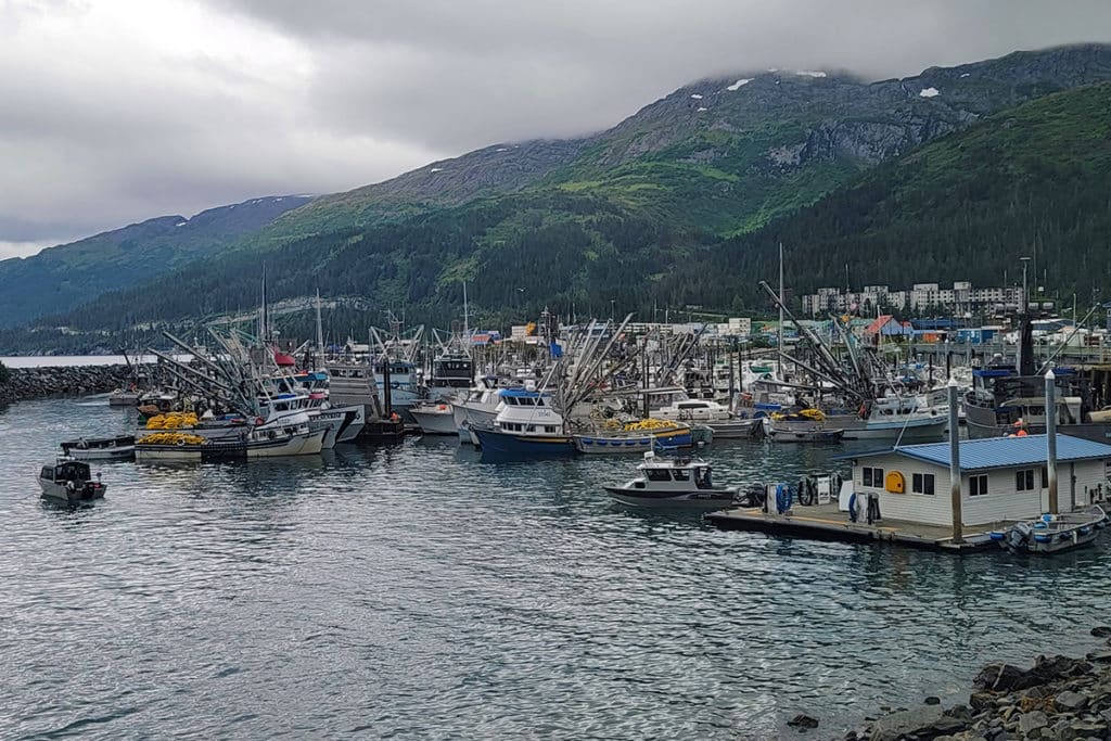 Stop in Whittier on your drive to Homer Alaska