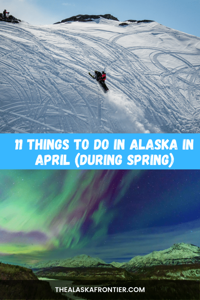 Things To Do In Alaska In April - During Spring