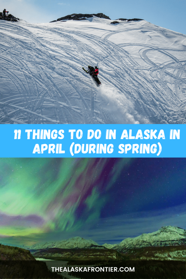 11 Things To Do In Alaska In April (During Spring Time)