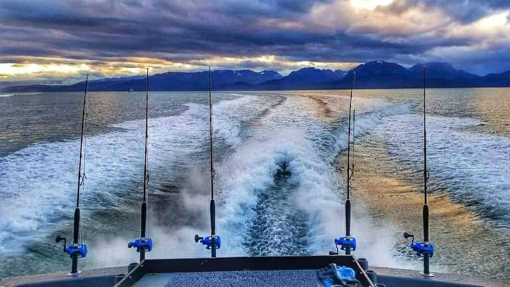 Fish Charter In Homer In May
