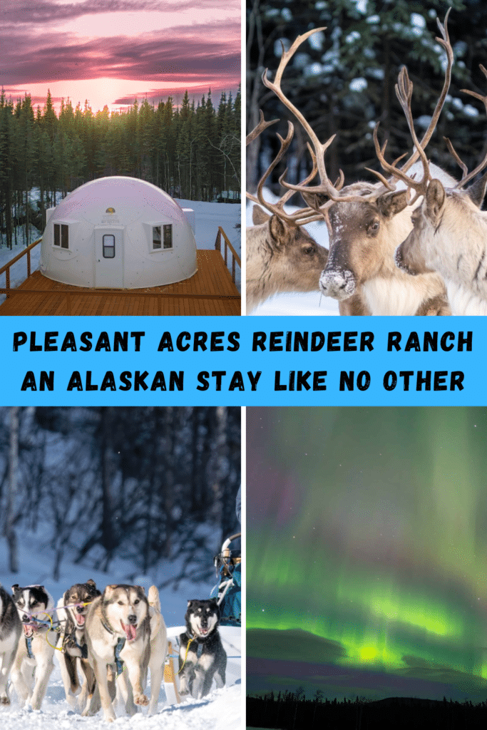 Pleasant Acres Reindeer Ranch Near Fairbanks Alaska