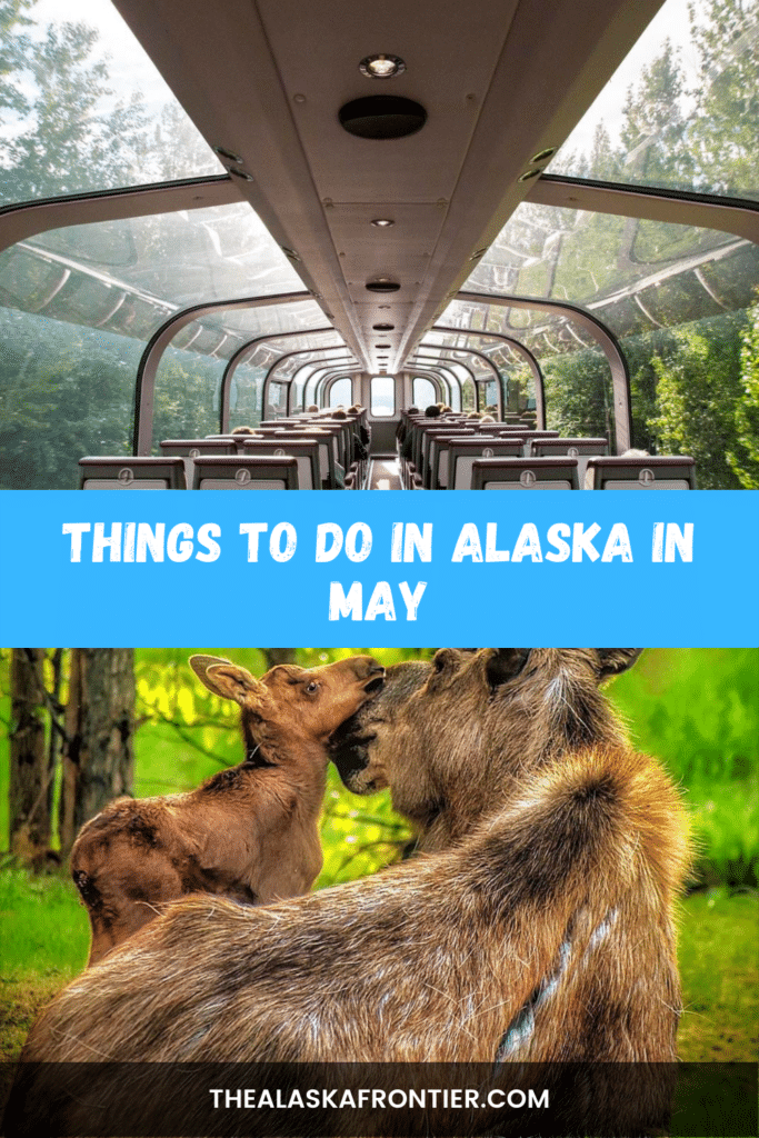What To Do In Alaska In May