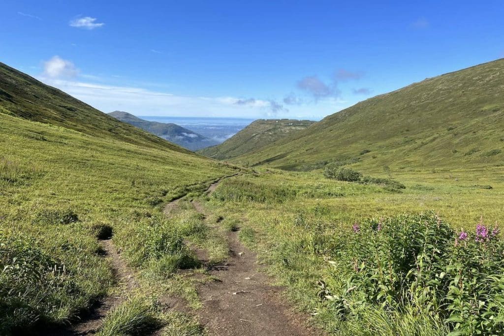 Hiking up Arctic Valley in the Summer