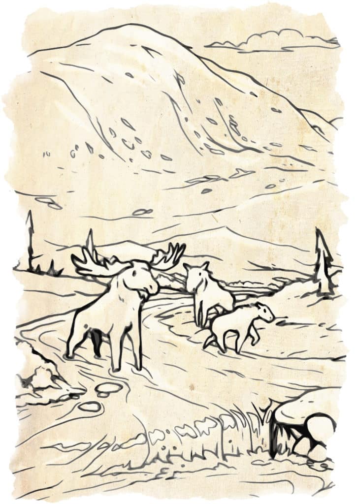 Moose In Stream Illustration The Alaska Frontier