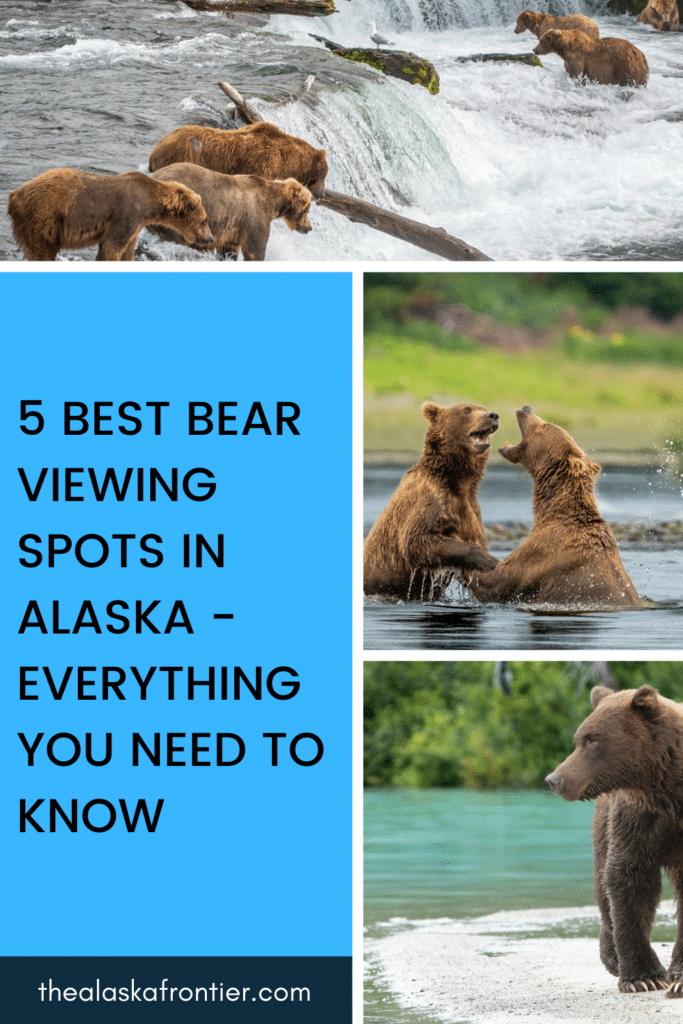 Where to see bears in Alaska